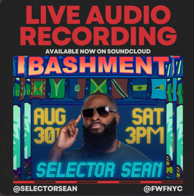 Selector Sean Live at Fun With Friends’ Bashment!